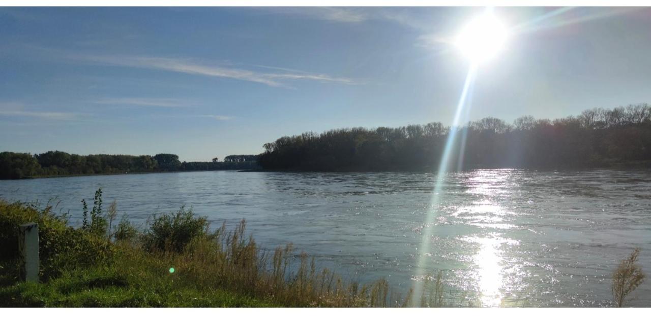 Апартаменты Urlaub Am Rhein Speyer Hockenheim Altlussheim Экстерьер фото