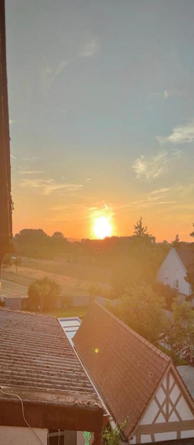 Апартаменты Urlaub Am Rhein Speyer Hockenheim Altlussheim Экстерьер фото