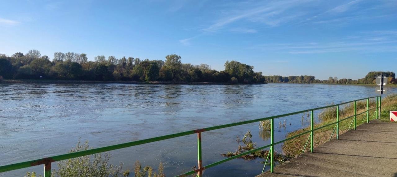 Апартаменты Urlaub Am Rhein Speyer Hockenheim Altlussheim Экстерьер фото